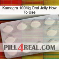 Kamagra 100Mg Oral Jelly How To Use 16